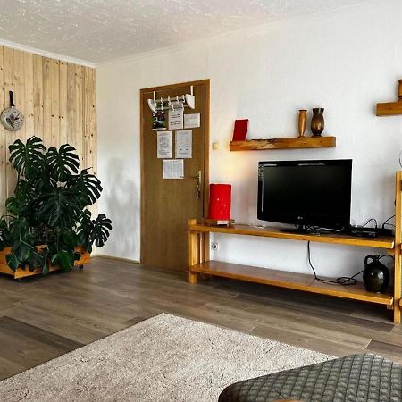 Apartment Monte Rosa Delnice Exterior foto